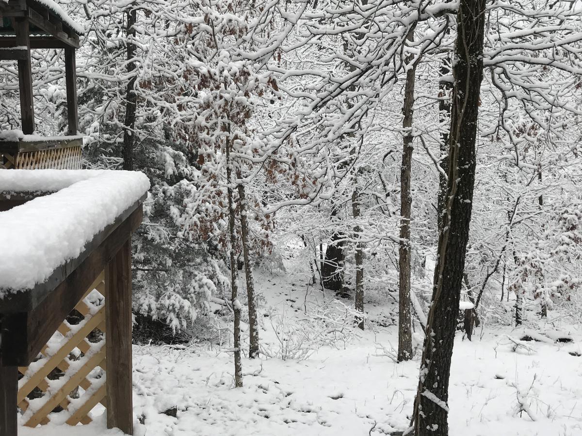 Norfork Lake Ozark Mountain Lodge Gamaliel Bagian luar foto